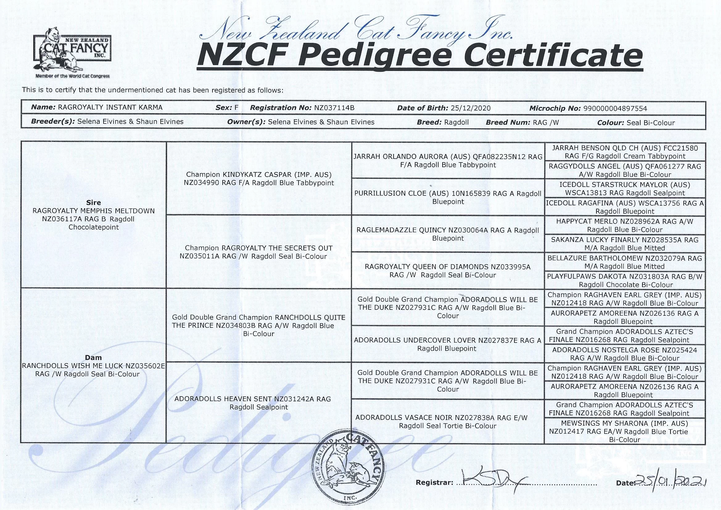karmanzcfpedigree.webp