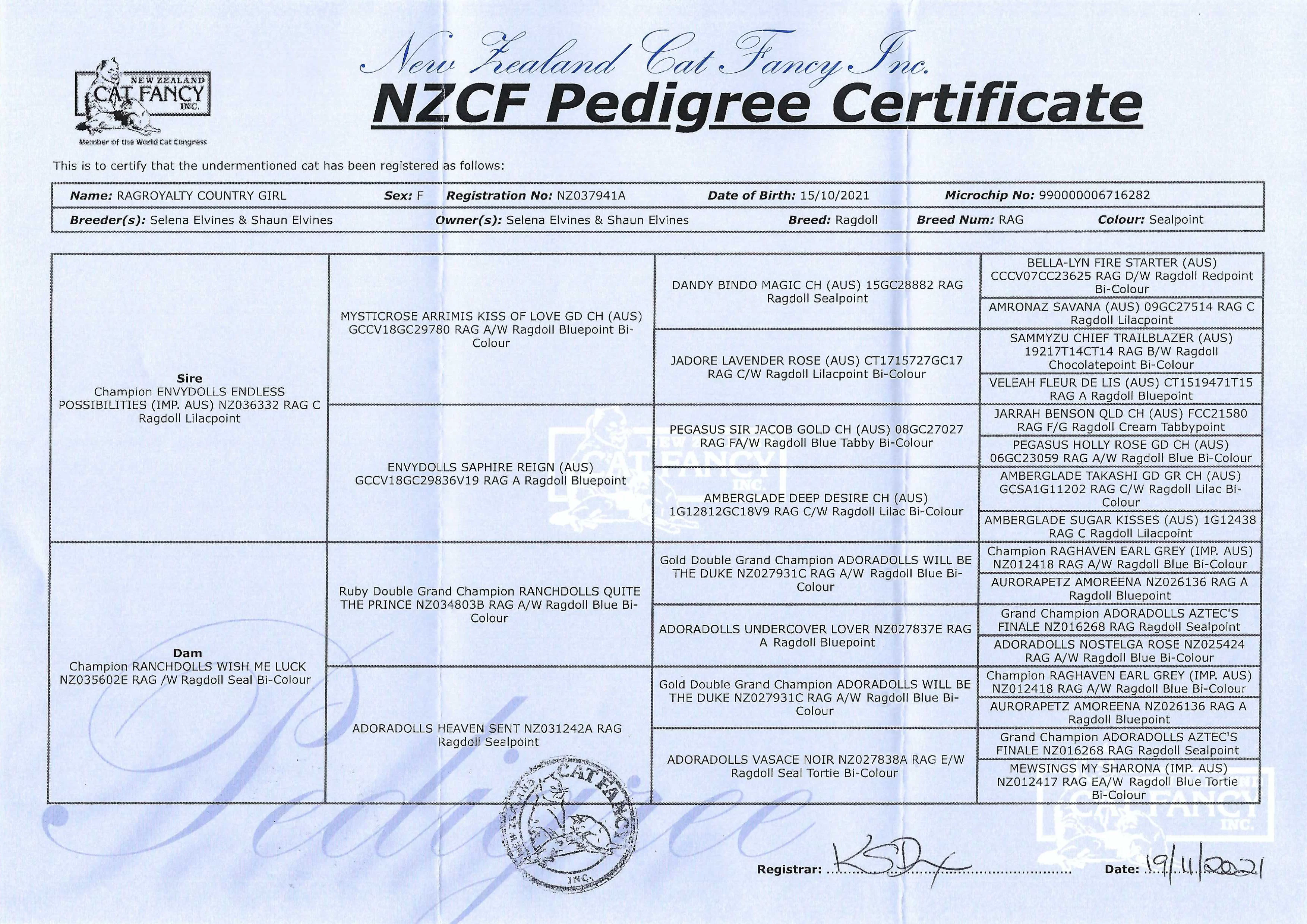 kennedynzcfpedigree.webp