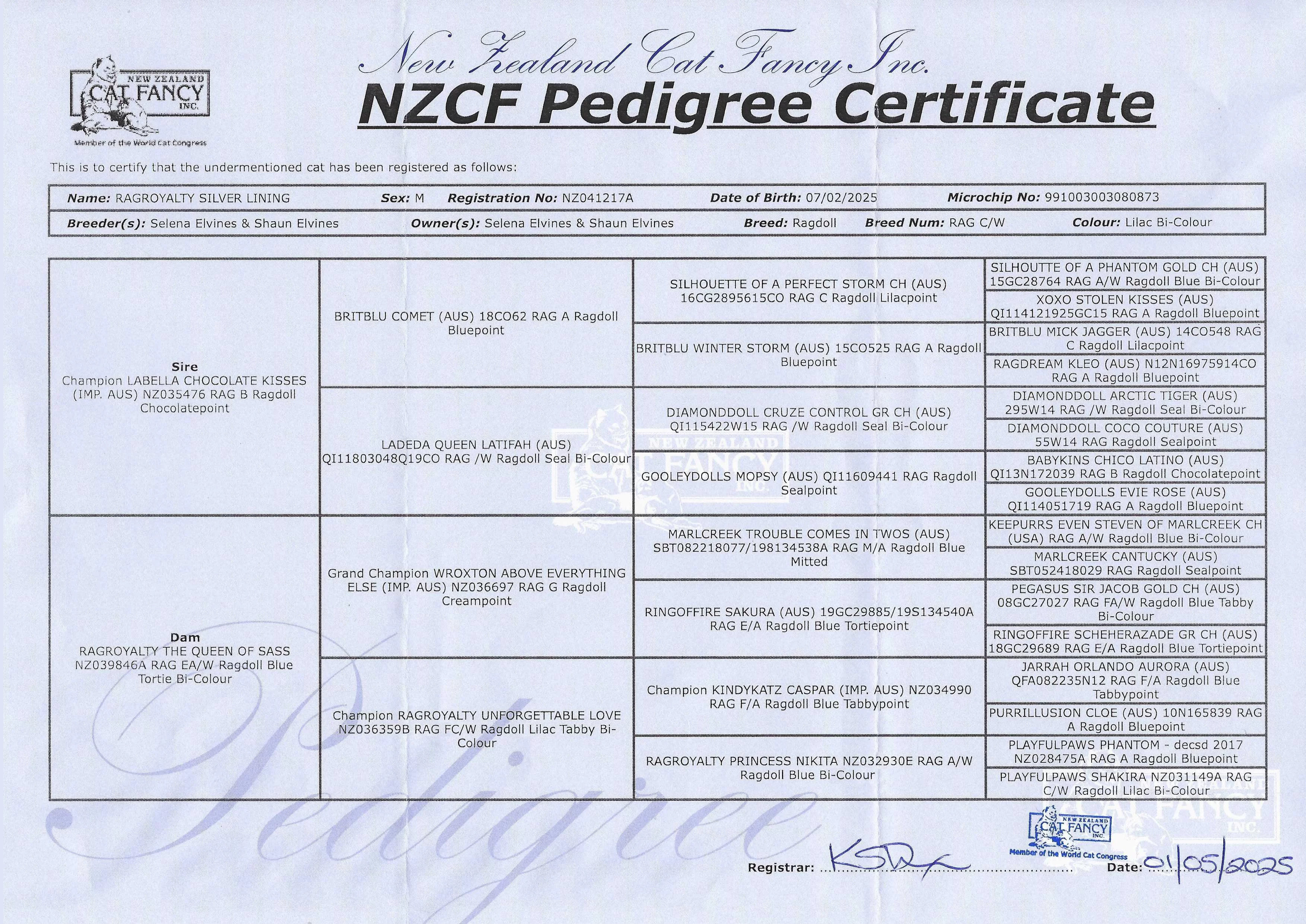 sterlingnzcfrpedigee.webp