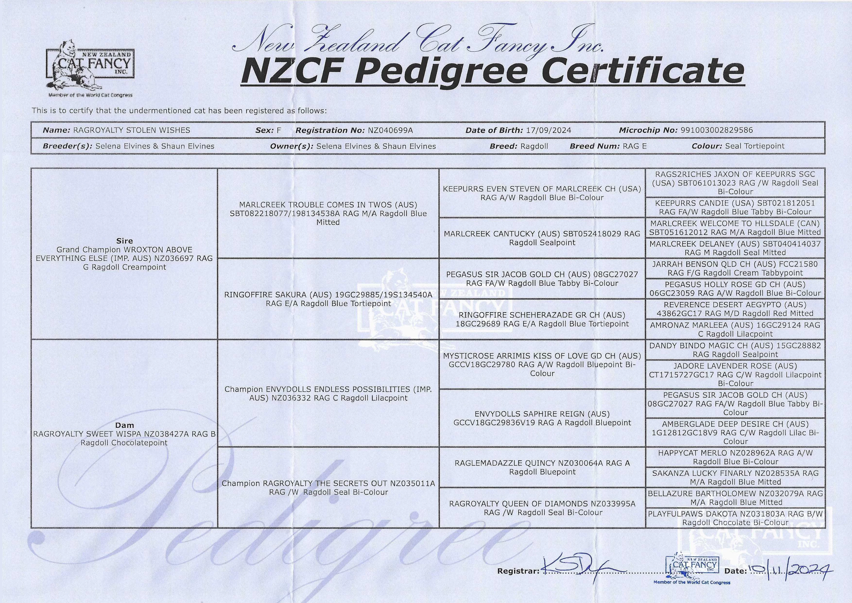 wishnzcfpedigree.webp